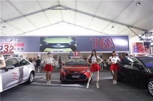 第三十屆廣電購車節(jié)盛大啟幕 汽車裝飾引領消費新潮流