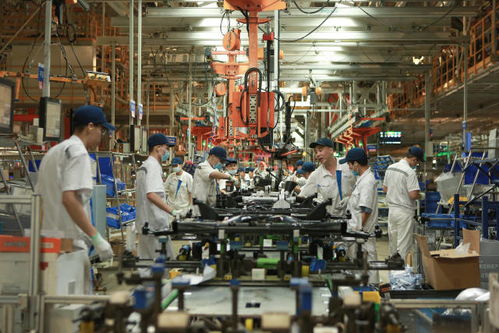 廣東聚焦汽車裝飾產業升級 省委書記兩日專題調研探訪發展新路徑